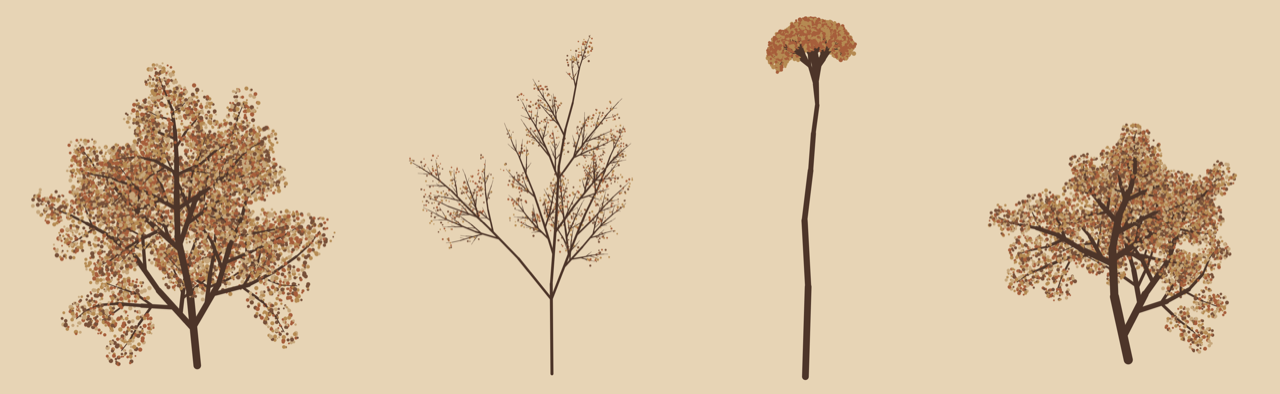 Different species of trees